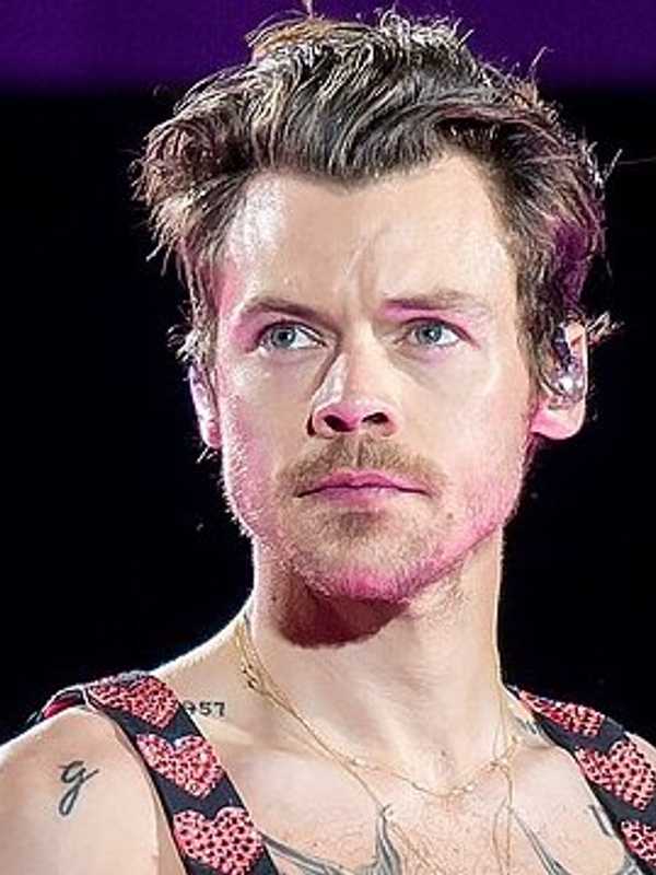 Harry Styles Collapses On Stage, Stunning Concertgoers: Watch