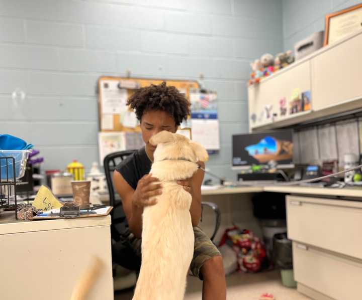 Salem Mannequin reunites with Nyla at the Bergen County Animal Shelter.
  
