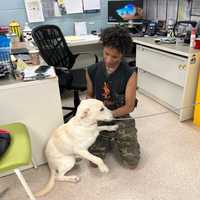 <p>Salem Mannequin reunites with Nyla at the Bergen County Animal Shelter.</p>