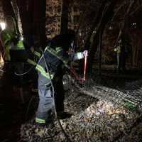 Body Of Woman Found After Fire Rips Through Wooded Area In Somerville