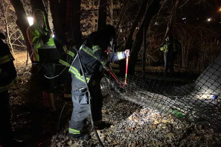 Body Of Woman Found After Fire Rips Through Wooded Area In Somerville