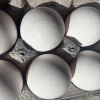 Soaring Egg Prices Likely To Get Even Higher: What To Know