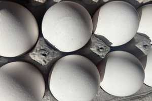 Egg Thefts Crack On As Police Scramble For Clues