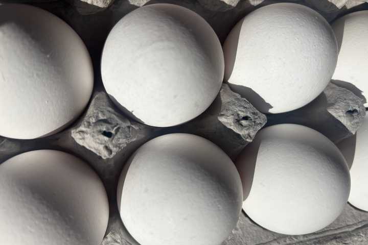 Record-High Egg Prices Likely To See New Increases: What To Know