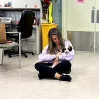 <p>D'Angelo holds Stella at the Bergen County Animal Shelter after signing adoption papers.</p>