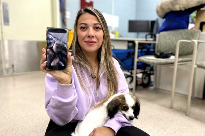 Natalie D'Angelo holds Stella at the Bergen County Animal Shelter, and a photo of her dog Zoey, who passed away in March.