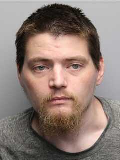Audi Driver Had Loaded Guns, Cocaine, Pills After Nearly Hitting NJ Home: Police