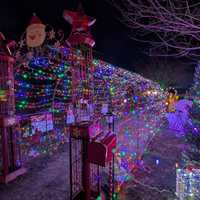 <p>There's an archway of lights to walk under at the annual event. </p>