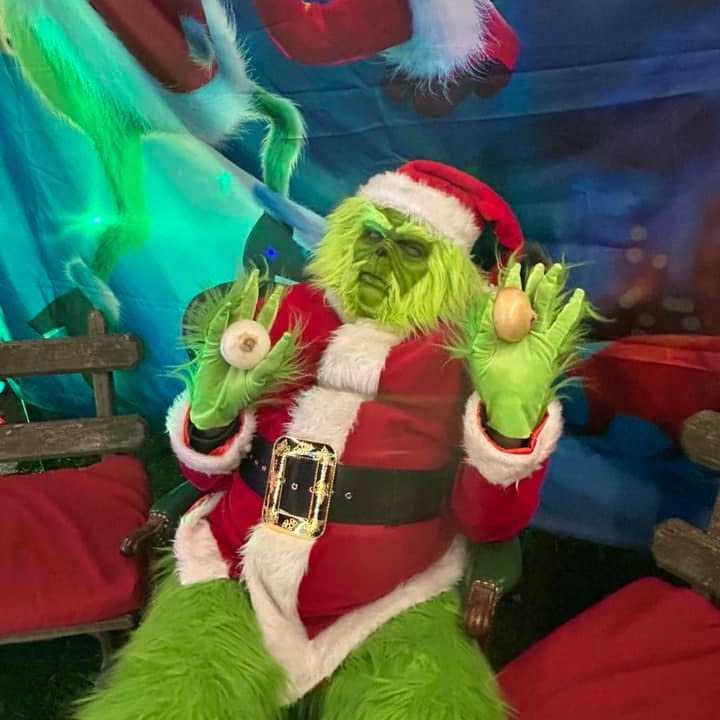 Zoli Szabo, a Trumbull volunteer firefighter, dressed as the Grinch for his neighborhood's annual Santa's Runway charity event. Visitors bring him onions, one of the Ginch's favorite foods.&nbsp;