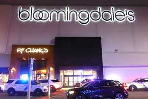 Three In Custody Following Fight, Shot Fired At Willowbrook Mall: Cops