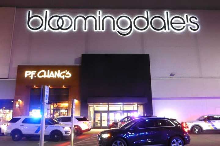 Three In Custody Following Fight, Shot Fired At Willowbrook Mall: Cops