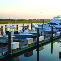 $1M 'Living Shoreline' Grant To Improve Environment, Coastal Resilience In Avalon