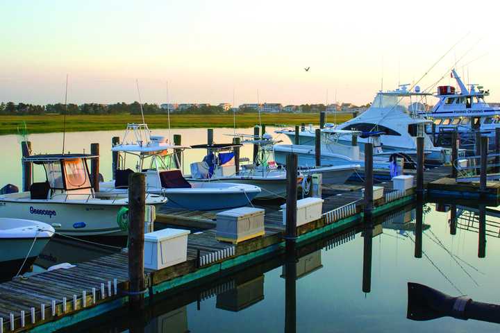 $1M 'Living Shoreline' Grant To Improve Environment, Coastal Resilience In Jersey Shore Borough