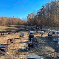 Chickens Rescued From Illegal Cockfighting Ring Operating Out Of Virginia Yard: Sheriff