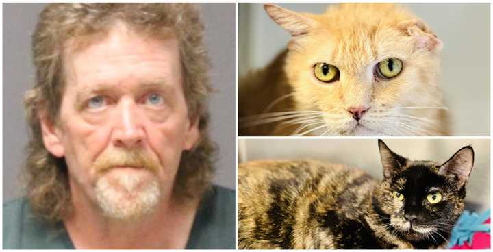 Jeffrey Finlay, 56, of Brick Township, NJ, was indicted on 149 counts of animal cruelty.