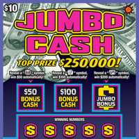 <p>The woman won the $250,000 top prize</p>