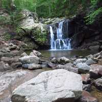 Human Remains Found At Patapsco Valley State Park In Maryland (DEVELOPING)
