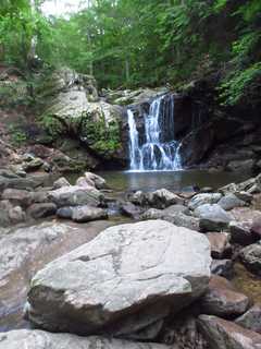 Human Remains Found At Patapsco Valley State Park In Maryland (DEVELOPING)