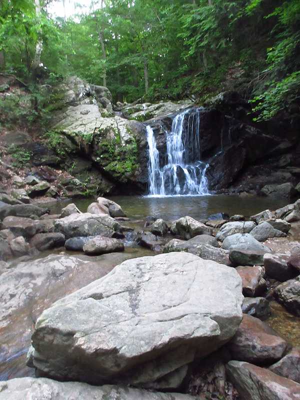 Human Remains Found At Patapsco Valley State Park In Maryland (DEVELOPING)