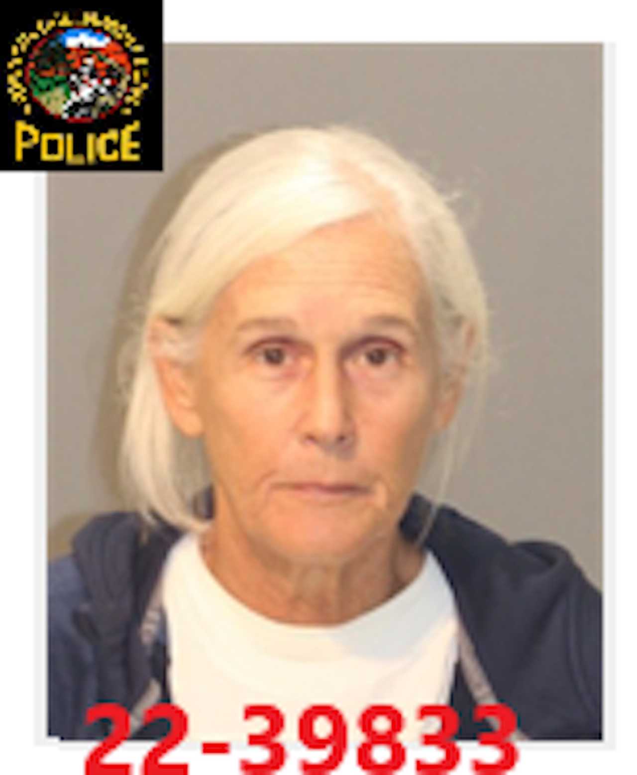 Woman Who Stole 800K From Boys & Girls Club Of Greenwich Nabbed In Florida, Police Say