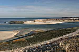 Body Found In Long Island River Amid Search For Missing Swimmer: Police