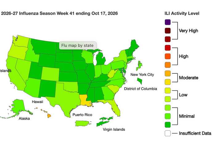 Flu Activity Climbs: What New CDC Numbers Show, States Getting Hit Hardest