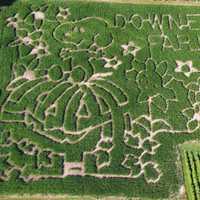 <p>A “Peanuts”-themed corn maze in Caledon, Ontario, Canada.</p>