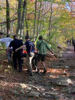 Forest Rangers Rescue Severely Injured 78-Year-Old From Overlook Mountain In Ulster County