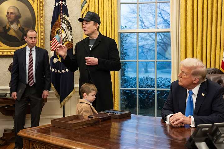 Tesla Owners Disguise Vehicles As Stock Craters, Trump Calls Elon Musk