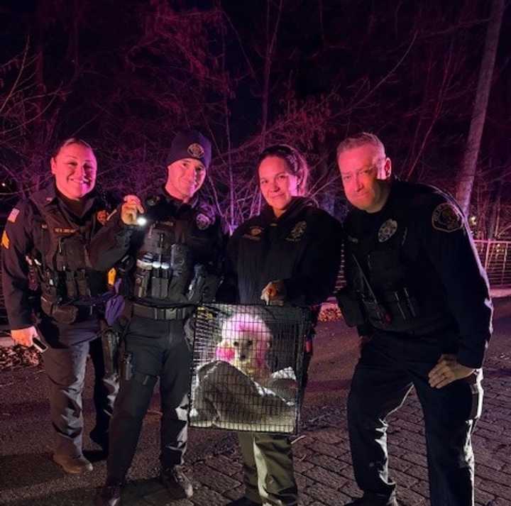 Miss Molly and her rescuers.
  
