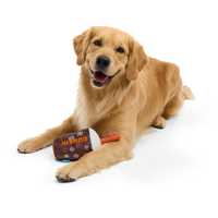 Dunkin' Selling Special Dog Toys For Kids In Need: Here's How To Get One