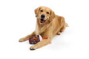 Dunkin' Selling Special Dog Toys For Kids In Need: Here's How To Get One