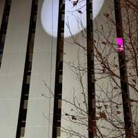 <p>Norwalk Holiday Extravaganza organizers spotlight Santa as he rappels down a building on Saturday, Dec. 7. Unfortunately, his suit got stuck in his rigging and he needed rescue 60 feet in the air.</p>