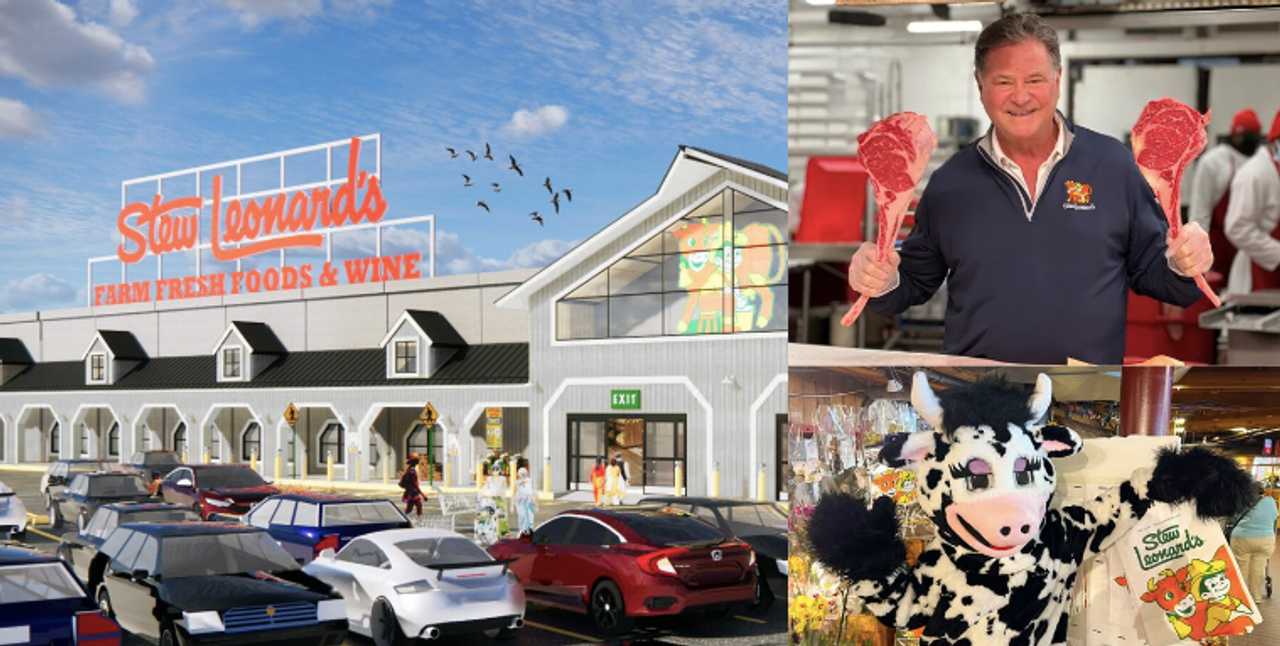 Live Cows Help Stew Leonard's Celebrate Grand Opening In Clifton