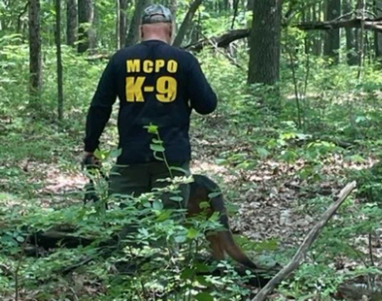 Loaded Gun Found In Stolen Mercedes After PursuitCrash, Perp Search In