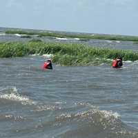 <p>The rescue team's swimmers.</p>