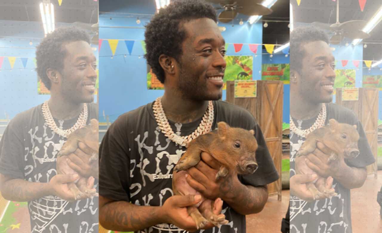 Rapper Lil Uzi Vert Falls In Love With Mini Pig At NJ's Largest Exotic ...