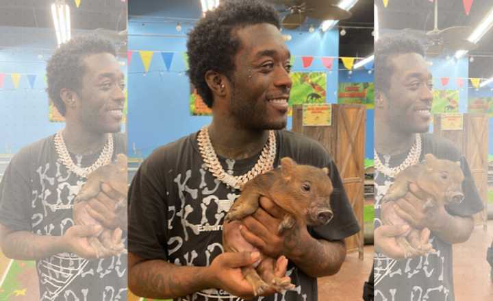 Lil Uzi Vert with his new mini pig at NJ Exotic Pets.
  
