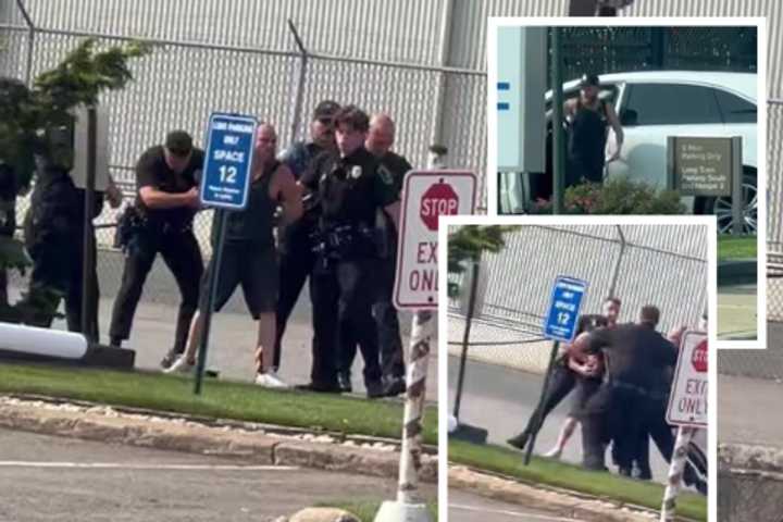 Video Shows Officers Tackling Accused Stalker, Maywood Car Thief Outside Airport