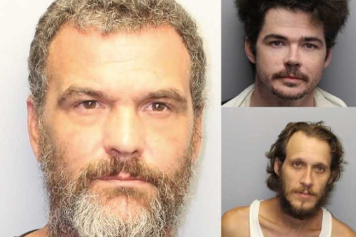 18 Pounds Of Pot Seized From Consignment Shop Drug Ring Bloomingdale, Butler Trio: Police