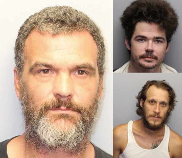 Daniel Valerio, Ryan Smith, and Jesse Baron were arrested for a drug scheme in Bloomingdale, police said.