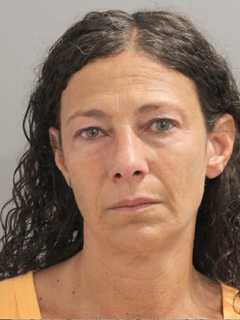 Hicksville Woman Accused Of Stealing Nearly $340K From Employer In Plainview