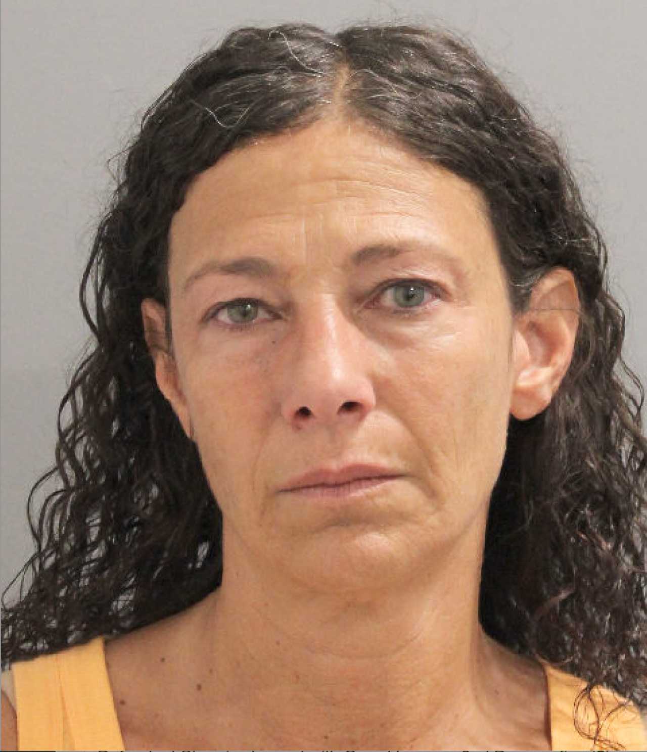 Hicksville Woman Accused Of Stealing Nearly 340K From Employer In
