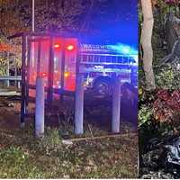 Minivan Careens Through Bus Shelter, Flips Over Route 17 Guardrail Into Woods In Waldwick