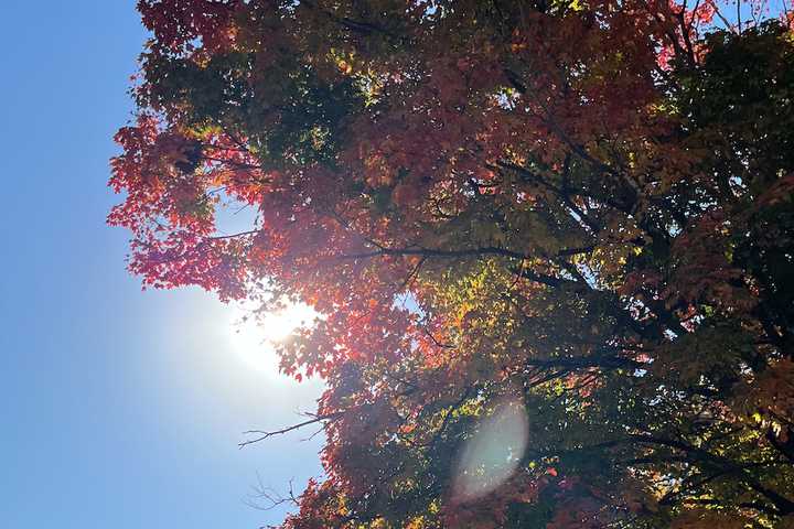 Here's When You'll Need To Change Your Clocks As Daylight Saving Time Ends