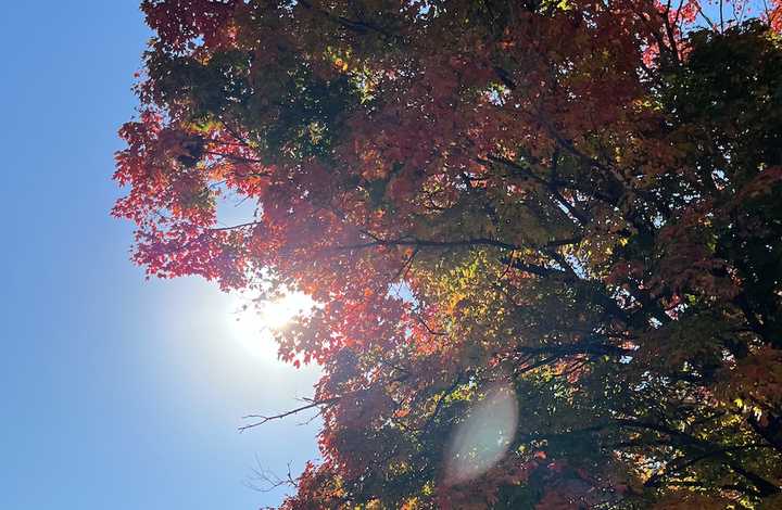 Sunlight in New Jersey