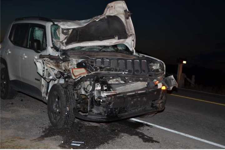 Woman Killed, 1-Year-Old Hospitalized After Jeep Crashes Into Amish Buggy In NY