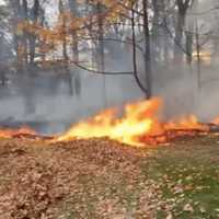 Brush Fire Breaks Out In Allendale Yard