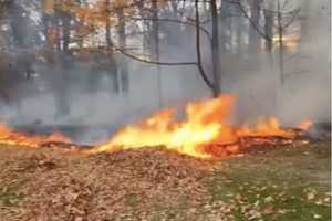 Brush Fire Breaks Out In Allendale Yard