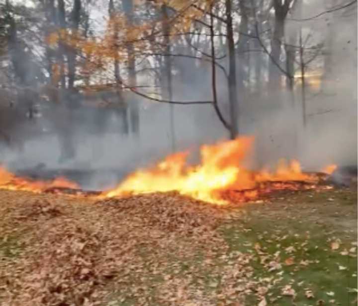 Byron Court brush fire.